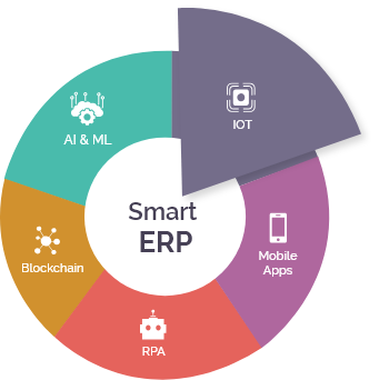 iot erp