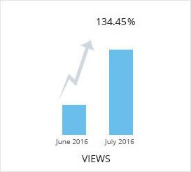 views stats