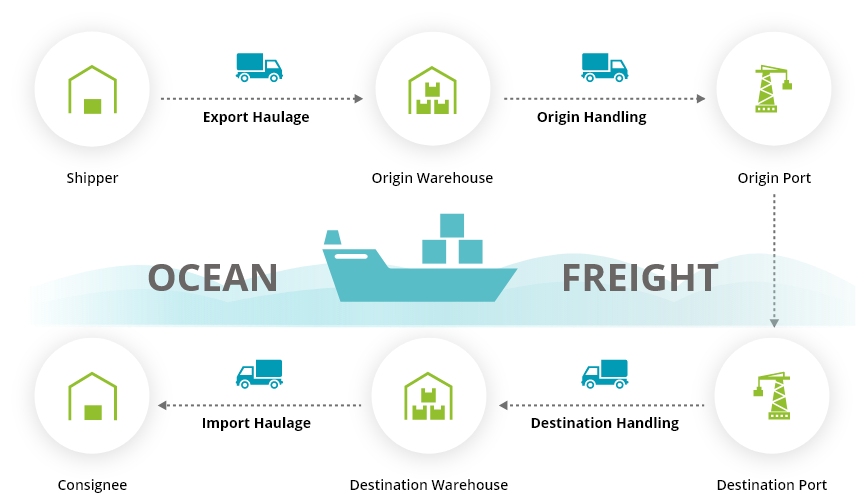 Ocean Freight